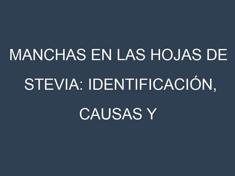 Manchas en las hojas de Stevia: Identificación, Causas y Estrategias de Control Efectivo