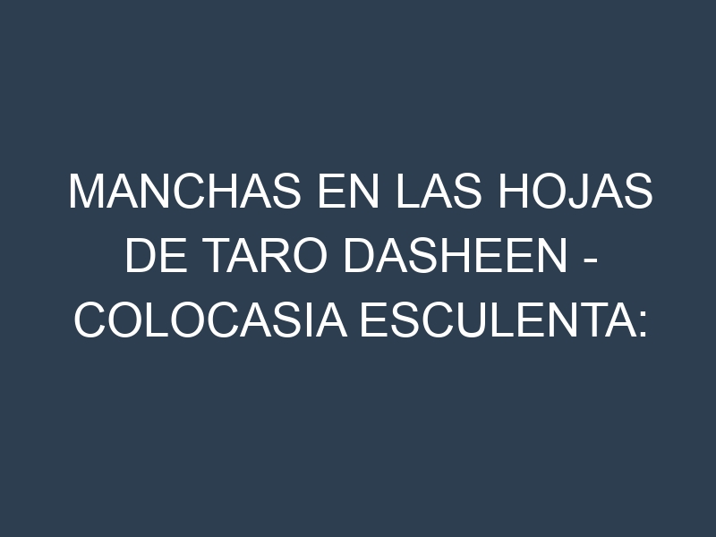 Manchas en las hojas de Taro Dasheen – Colocasia esculenta: Identificación, Causas y Estrategias de Control Efectivo
