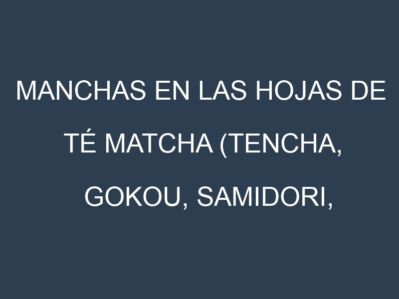 Manchas en las hojas de Té matcha (Tencha, Gokou, Samidori, Okumidori, Yabukita): Identificación, Causas y Estrategias de Control Efectivo