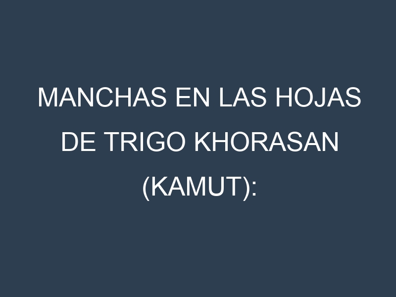 Manchas en las hojas de Trigo khorasan (Kamut): Identificación, Causas y Estrategias de Control Efectivo