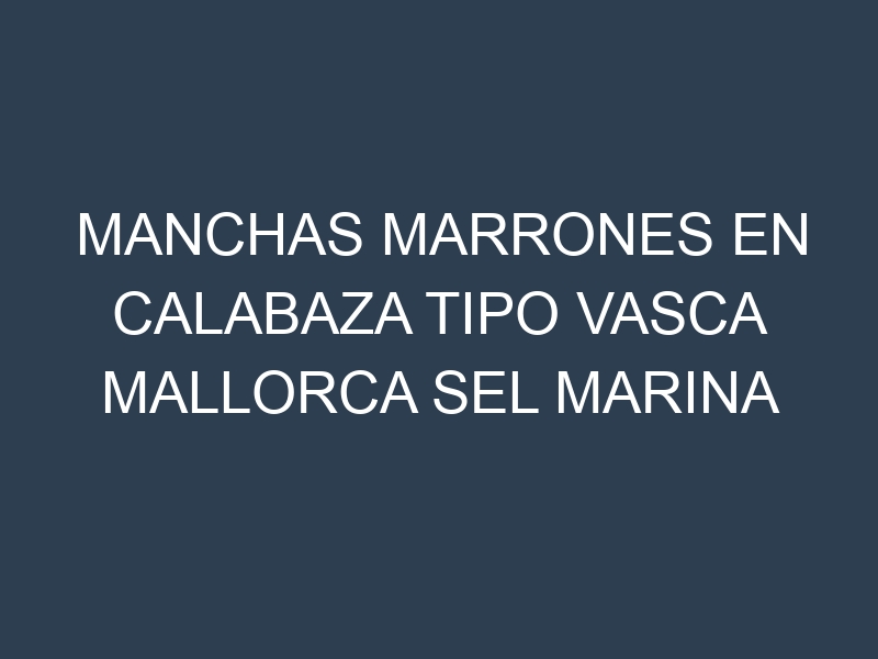 Manchas Marrones en Calabaza Tipo Vasca Mallorca Sel Marina
