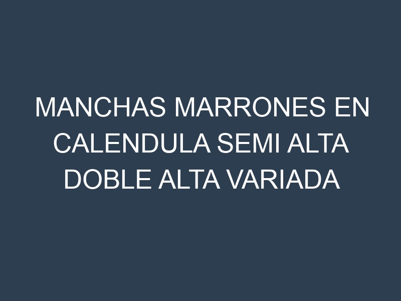 Manchas Marrones en Calendula Semi Alta Doble Alta Variada