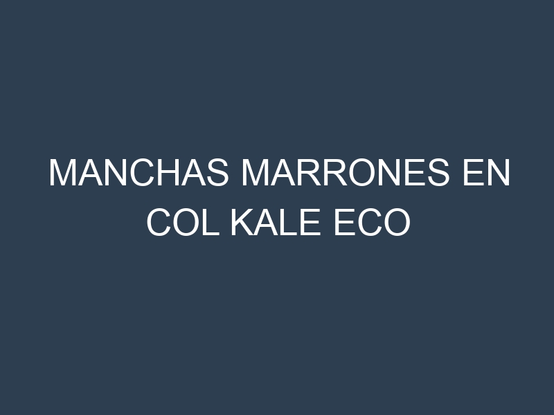 Manchas Marrones en Col Kale Eco