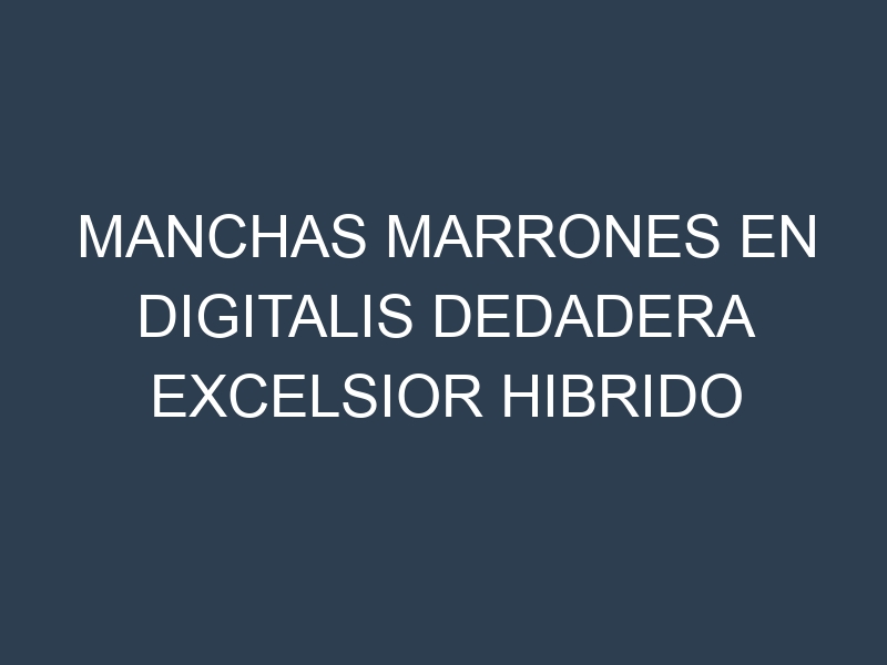 Manchas Marrones en Digitalis Dedadera Excelsior Hibrido
