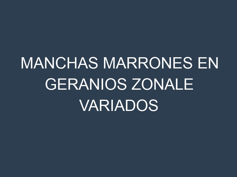 Manchas Marrones en Geranios Zonale Variados