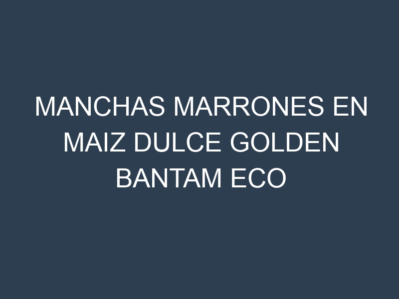 Manchas Marrones en Maiz Dulce Golden Bantam Eco