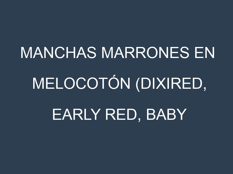 Manchas Marrones en Melocotón (Dixired, Early Red, Baby Gold, Redhaven). Hojas con manchas marrones en Melocotón (Dixired, Early Red, Baby Gold, Redhaven).