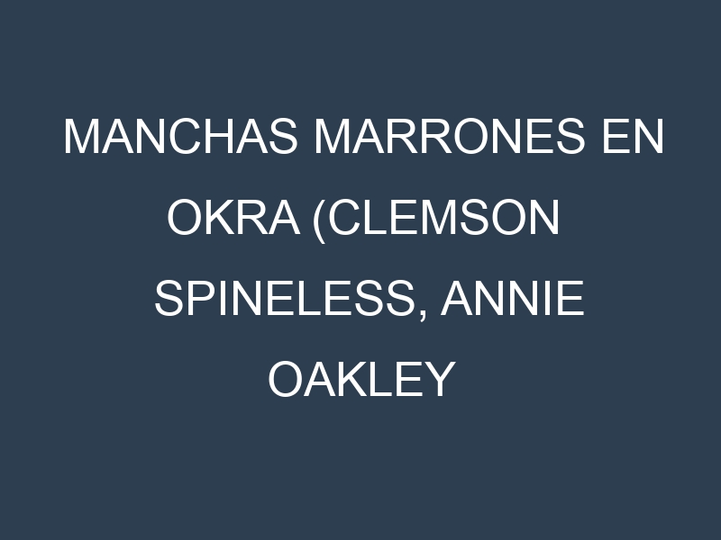Manchas Marrones en Okra (Clemson Spineless, Annie Oakley II, Louisiana Green Velvet). Hojas con manchas marrones en Okra (Clemson Spineless, Annie Oakley II, Louisiana Green Velvet).