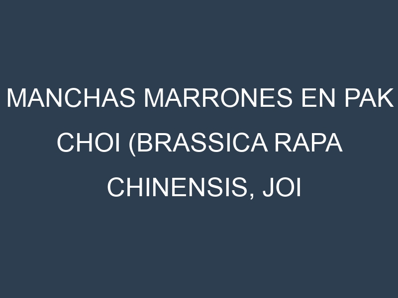 Manchas Marrones en Pak choi (Brassica rapa chinensis, Joi Choi, Mei Qing Choi, Shanghai). Hojas con manchas marrones en Pak choi (Brassica rapa chinensis, Joi Choi, Mei Qing Choi, Shanghai).