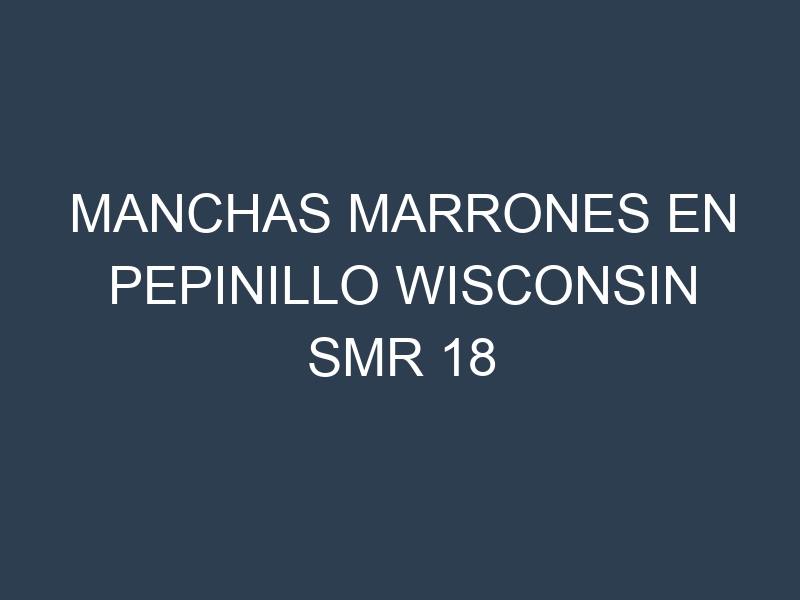 Manchas Marrones en Pepinillo Wisconsin Smr 18