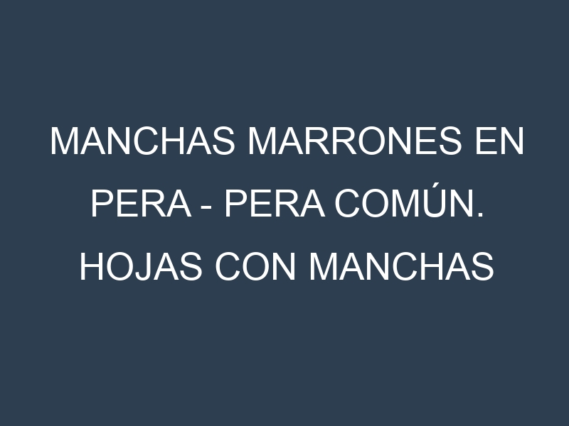 Manchas Marrones en Pera – Pera común. Hojas con manchas marrones en Pera – Pera común.