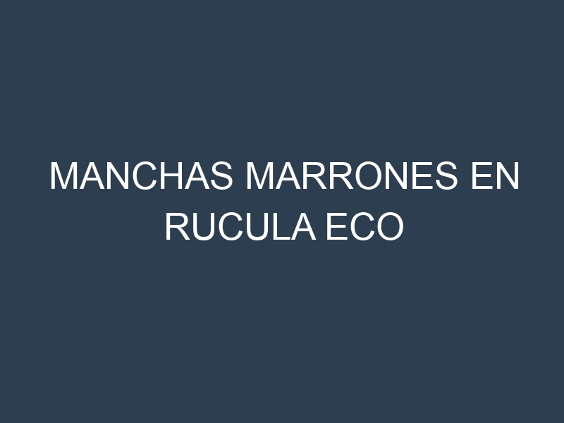 Manchas Marrones en Rucula Eco