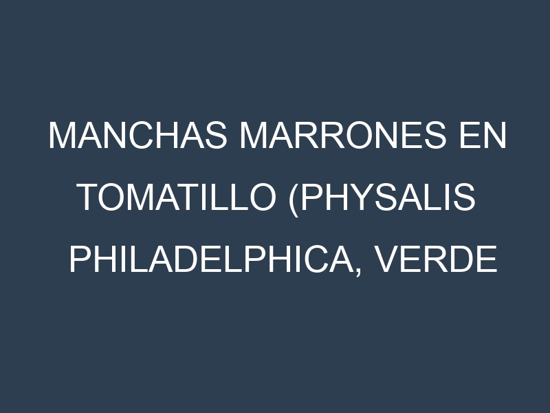 Manchas Marrones en Tomatillo (Physalis philadelphica, Verde Puebla, Toma Verde, Cisineros). Hojas con manchas marrones en Tomatillo (Physalis philadelphica, Verde Puebla, Toma Verde, Cisineros).