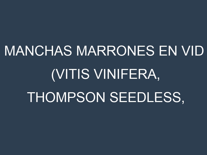 Manchas Marrones en Vid (Vitis vinifera, Thompson Seedless, Concord, Chardonnay). Hojas con manchas marrones en Vid (Vitis vinifera, Thompson Seedless, Concord, Chardonnay).