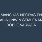 Manchas Negras en Dalia Unwin Semi Enana Doble Variada