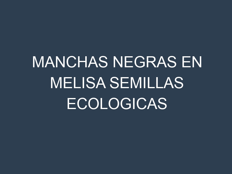 Manchas Negras en Melisa Semillas Ecologicas