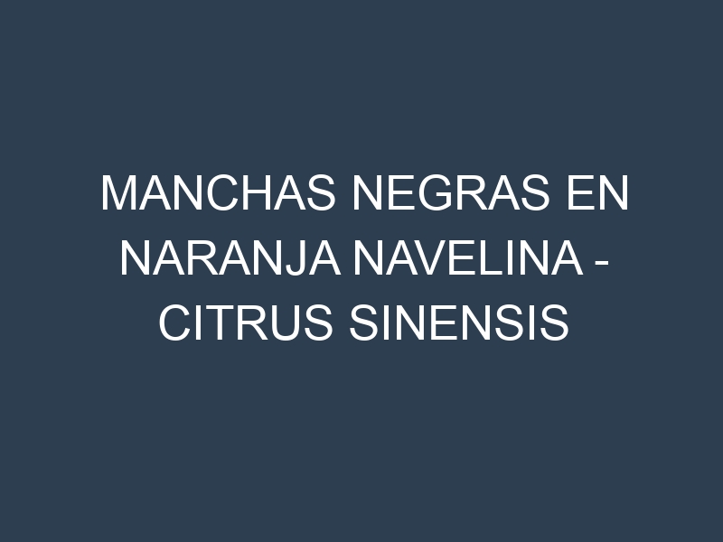 Manchas Negras en Naranja Navelina – Citrus sinensis ‘Navelina’: Causas, Efectos y Manejo