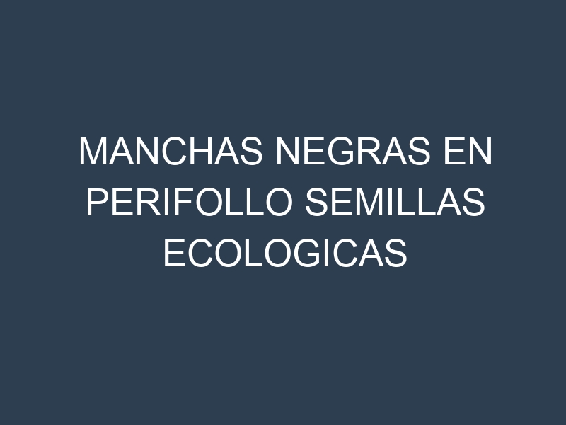 Manchas Negras en Perifollo Semillas Ecologicas
