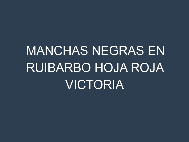 Manchas Negras en Ruibarbo Hoja Roja Victoria