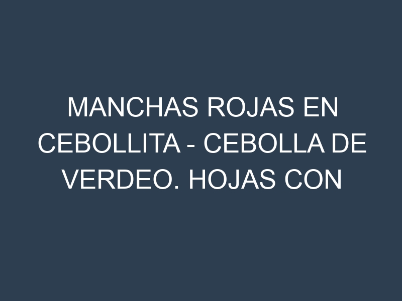 Manchas rojas en Cebollita – Cebolla de verdeo. Hojas con manchas rojas en Cebollita – Cebolla de verdeo.