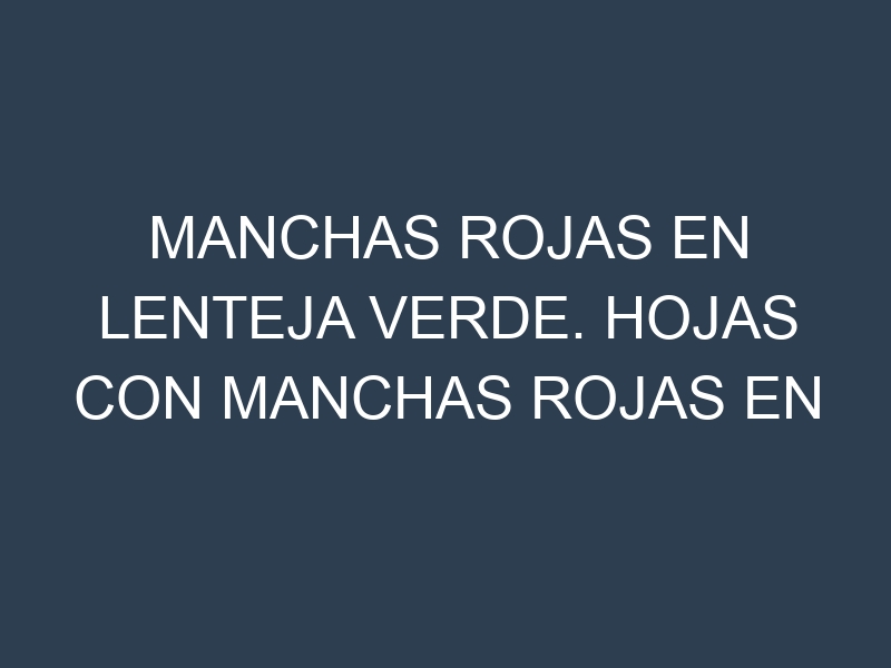 Manchas rojas en Lenteja verde. Hojas con manchas rojas en Lenteja verde.