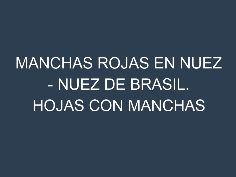 Manchas rojas en Nuez – Nuez de Brasil. Hojas con manchas rojas en Nuez – Nuez de Brasil.
