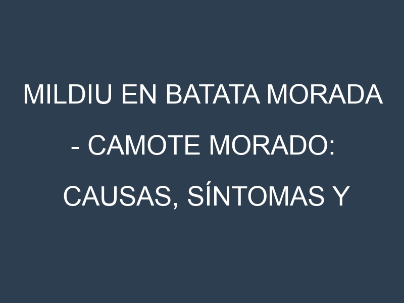 Mildiu en Batata morada – Camote morado: Causas, Síntomas y Estrategias de Control en Cultivos