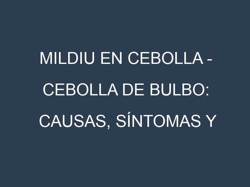 Mildiu en Cebolla – Cebolla de bulbo: Causas, Síntomas y Estrategias de Control en Cultivos