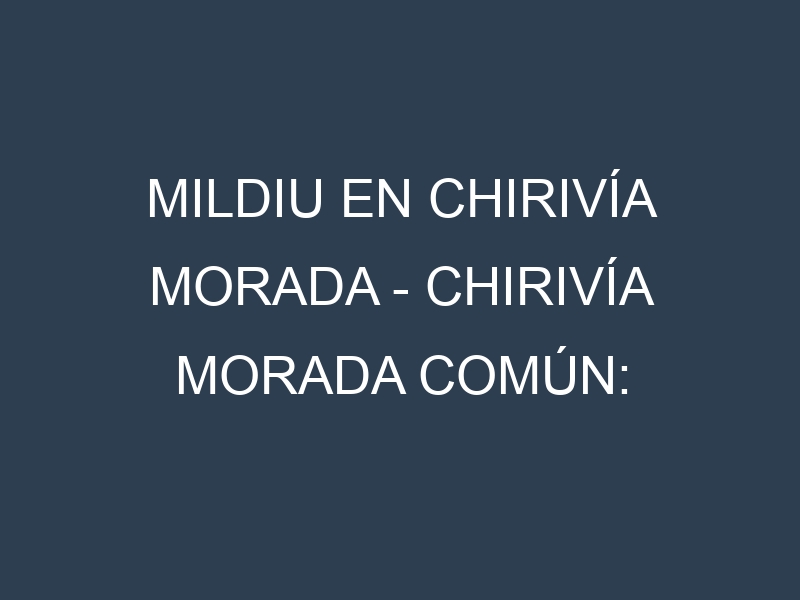 Mildiu en Chirivía morada – Chirivía morada común: Causas, Síntomas y Estrategias de Control en Cultivos