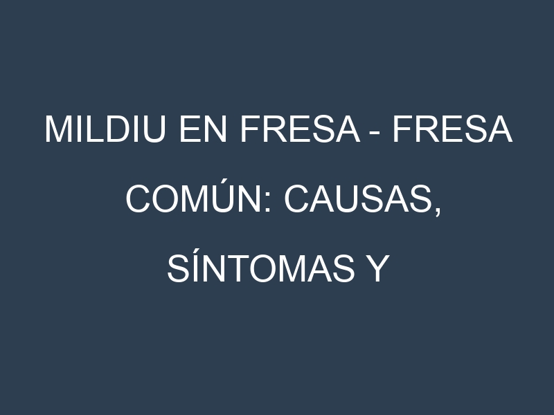Mildiu en Fresa – Fresa común: Causas, Síntomas y Estrategias de Control en Cultivos