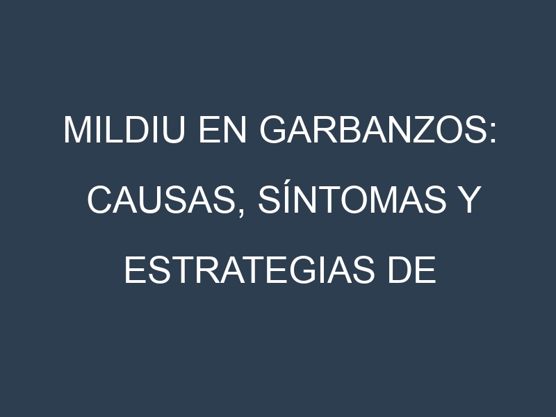 Mildiu en Garbanzos: Causas, Síntomas y Estrategias de Control en Cultivos