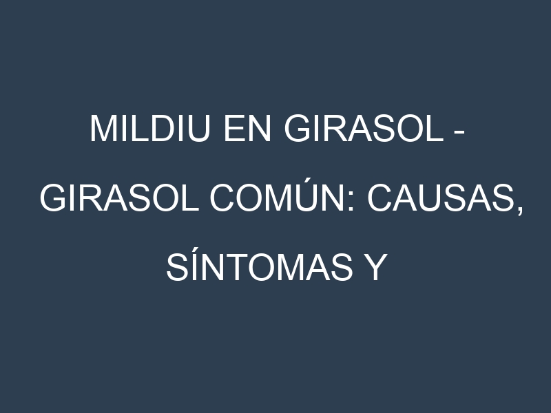 Mildiu en Girasol – Girasol común: Causas, Síntomas y Estrategias de Control en Cultivos