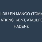 Mildiu en Mango (Tommy Atkins, Kent, Ataulfo, Haden): Causas, Síntomas y Estrategias de Control en Cultivos