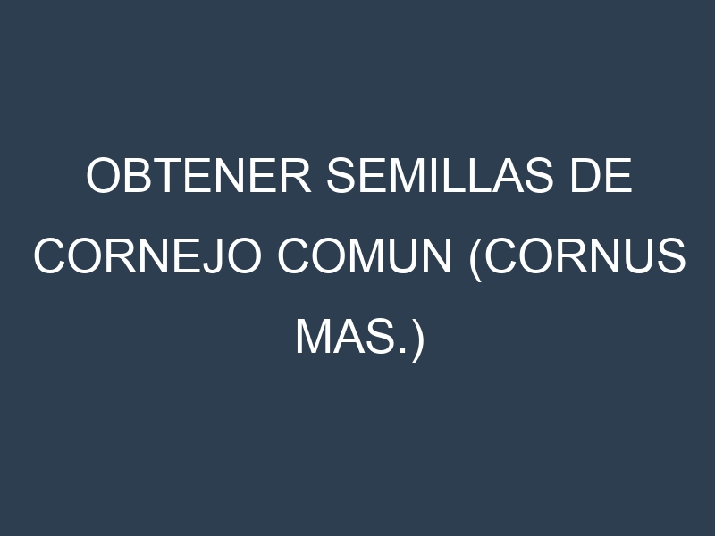 Obtener Semillas de Cornejo Comun (Cornus mas.)