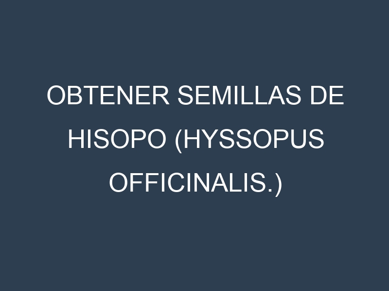 Obtener Semillas de Hisopo (Hyssopus officinalis.)