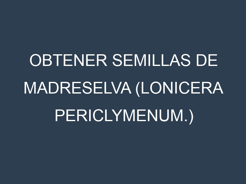 Obtener Semillas de Madreselva (Lonicera periclymenum.)