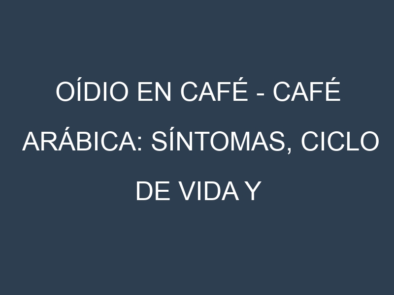 Oídio en Café – Café arábica: síntomas, ciclo de vida y estrategias de control