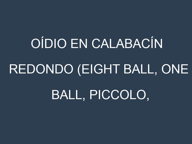 Oídio en Calabacín redondo (Eight Ball, One Ball, Piccolo, Ronde de Nice): síntomas, ciclo de vida y estrategias de control