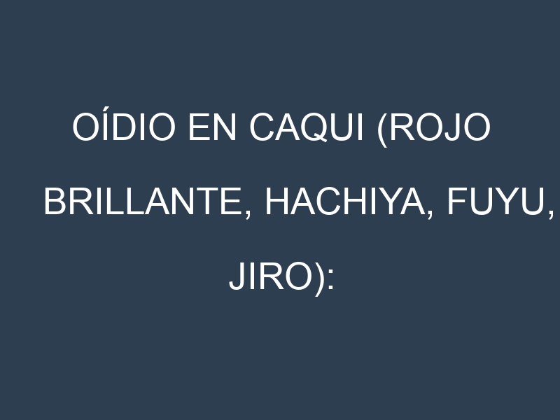 Oídio en Caqui (Rojo brillante, Hachiya, Fuyu, Jiro): síntomas, ciclo de vida y estrategias de control