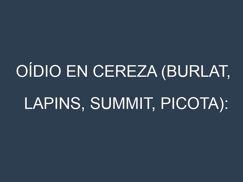 Oídio en Cereza (Burlat, Lapins, Summit, Picota): síntomas, ciclo de vida y estrategias de control