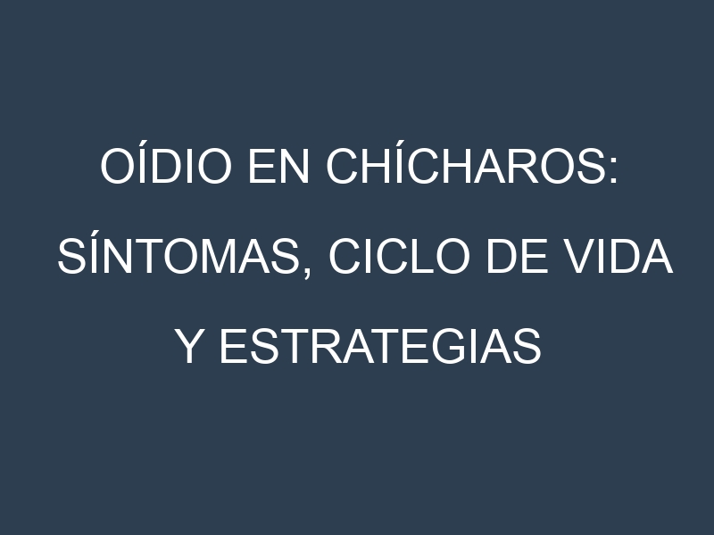 Oídio en Chícharos: síntomas, ciclo de vida y estrategias de control