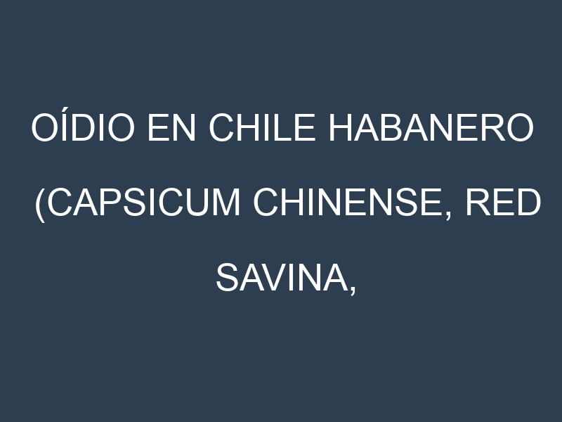 Oídio en Chile habanero (Capsicum chinense, Red Savina, Maya, Caribe): síntomas, ciclo de vida y estrategias de control