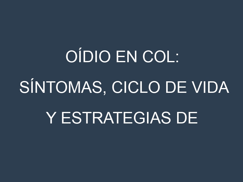 Oídio en Col: síntomas, ciclo de vida y estrategias de control