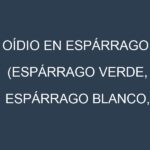 Oídio en Espárrago (Espárrago verde, Espárrago blanco, Mary Washington, UC 157): síntomas, ciclo de vida y estrategias de control