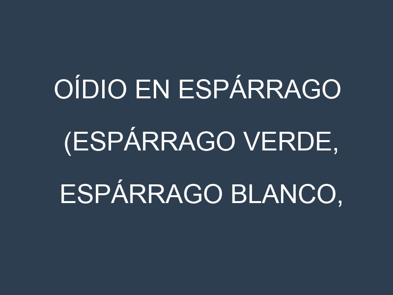 Oídio en Espárrago (Espárrago verde, Espárrago blanco, Mary Washington, UC 157): síntomas, ciclo de vida y estrategias de control