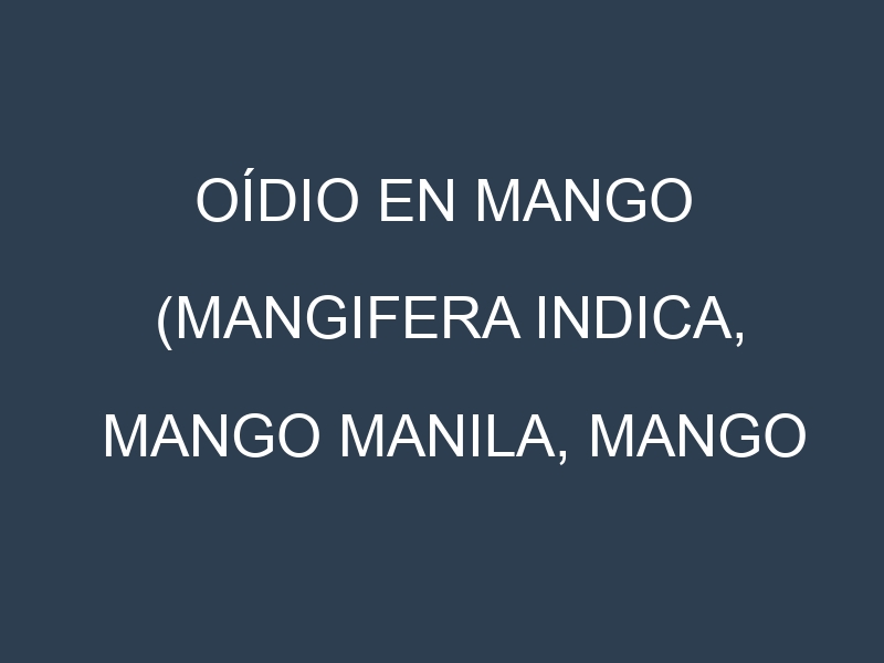 Oídio en Mango (Mangifera indica, Mango manila, Mango Haden): síntomas, ciclo de vida y estrategias de control