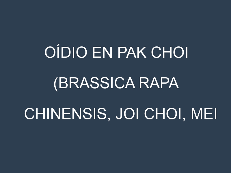 Oídio en Pak choi (Brassica rapa chinensis, Joi Choi, Mei Qing Choi, Shanghai): síntomas, ciclo de vida y estrategias de control