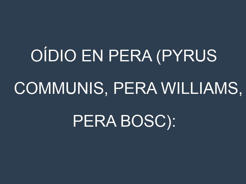 Oídio en Pera (Pyrus communis, Pera Williams, Pera Bosc): síntomas, ciclo de vida y estrategias de control