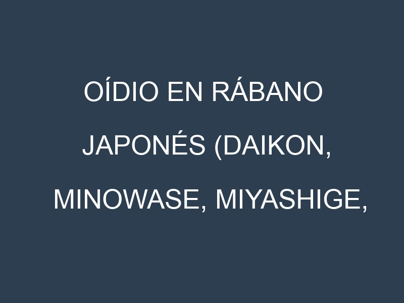Oídio en Rábano japonés (Daikon, Minowase, Miyashige, Shunkyo): síntomas, ciclo de vida y estrategias de control