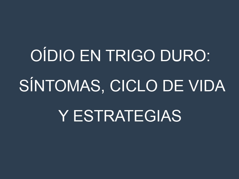 Oídio en Trigo duro: síntomas, ciclo de vida y estrategias de control